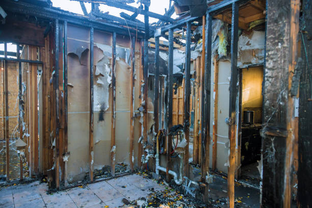 Professional Fire Damage Removal technician working in Sun City, AZ